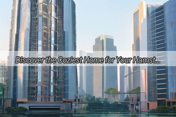 Discover the Coziest Home for Your Hamster Top Brands in Guangzhous Cage Haven